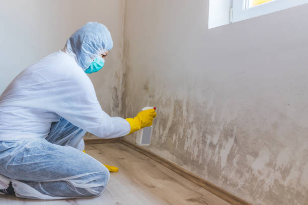 Hvac And Air Duct Mold Remediation inspection of HVAC system in Prince Frederick