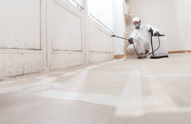 Post-remediation clearance in Prince Frederick